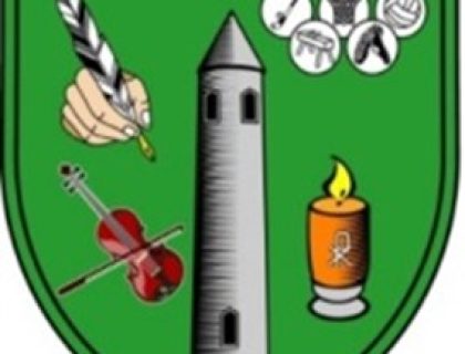 Primary School Survey